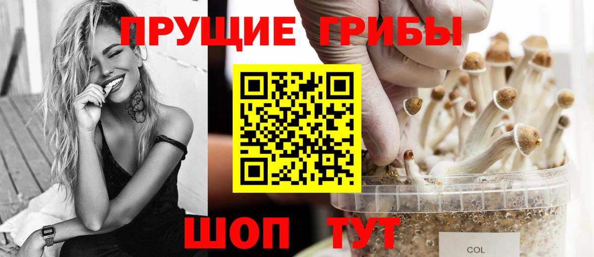 ГАШИШ Пенза